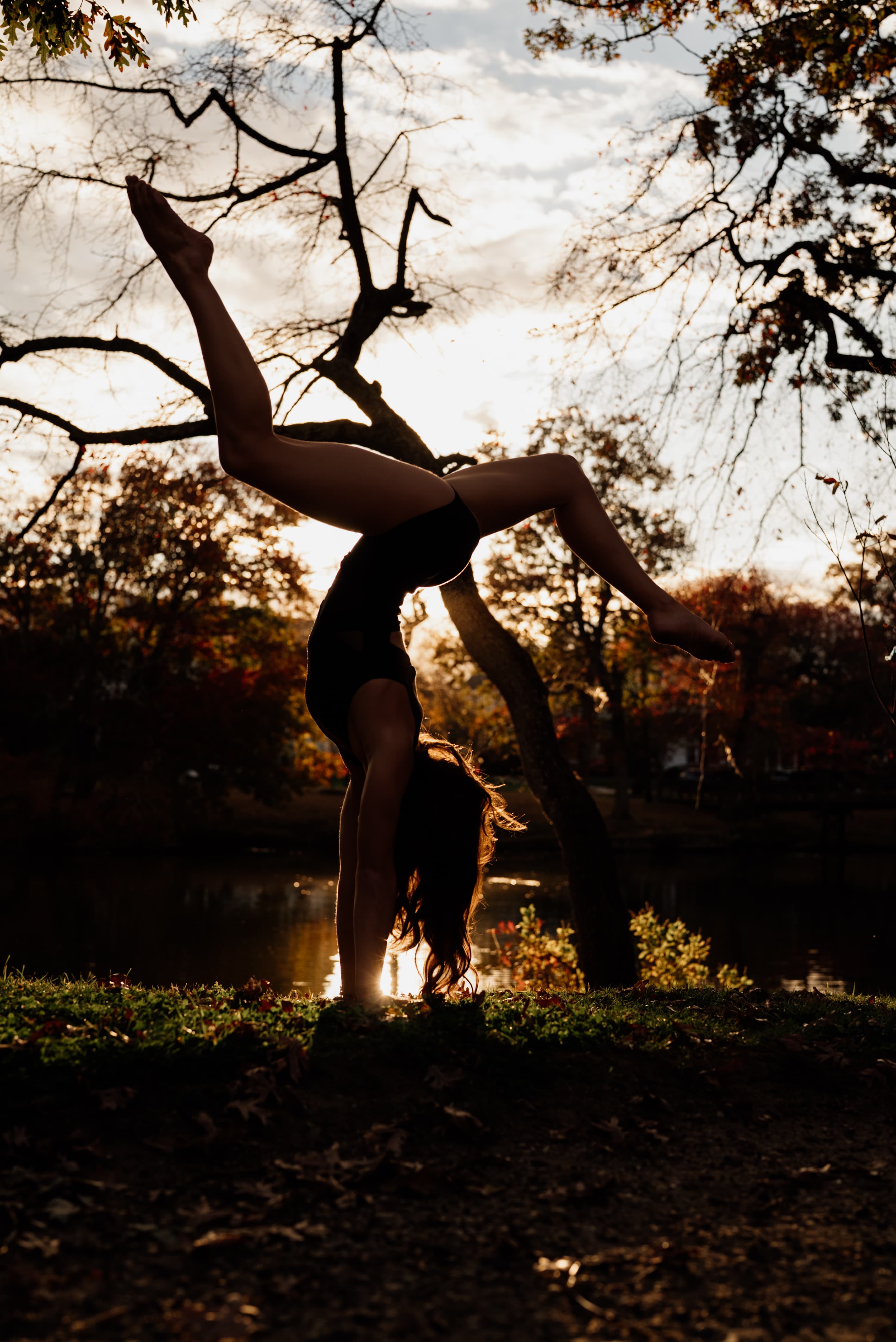 Dancer performing a handstand on a tree branch at golden hour